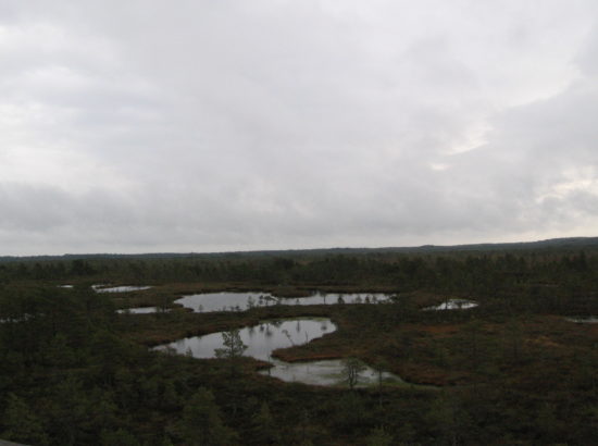 Picture 050
